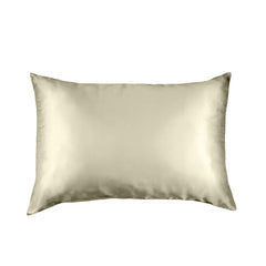 Pure Silk Pillow Case by Royal Comfort (Single Pack) - Sage-1927503854245646337