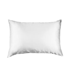 Pure Silk Pillow Case by Royal Comfort-Silver-1927503852072996865