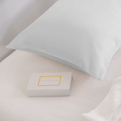 Pure Silk Pillow Case by Royal Comfort-Silver-1927503852072996866