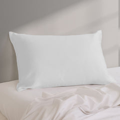Pure Silk Pillow Case by Royal Comfort-Silver-1927503852072996867