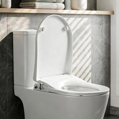 Cefito Non Electric Bidet Toilet Seat D-Shape Dual Nozzle Soft Close WaterMark