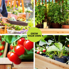 Green Fingers Raised Garden Bed 2x Elevated 120x60x80cm Wooden Planter Box Container