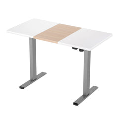 Artiss Standing Desk Electric Sit Stand Desks 120CM