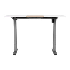 Artiss Standing Desk Electric Sit Stand Desks 120CM