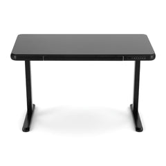 Artiss Standing Desk Motorised Tempered Glass Top Electric Black 120CM