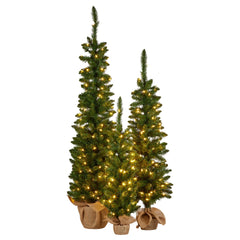 Christabelle Set 3 Pre-Lit Christmas Trees Green Free Delivery