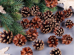 18 Christmas Natural Pine Cones Xmas Tree Hanging Home Decoration Ornament Gifts, Set of 18 Natural Pinecones