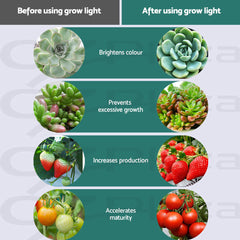 Green Fingers 2000W Grow Light LED Full Spectrum Indoor Plant All Stage Growth