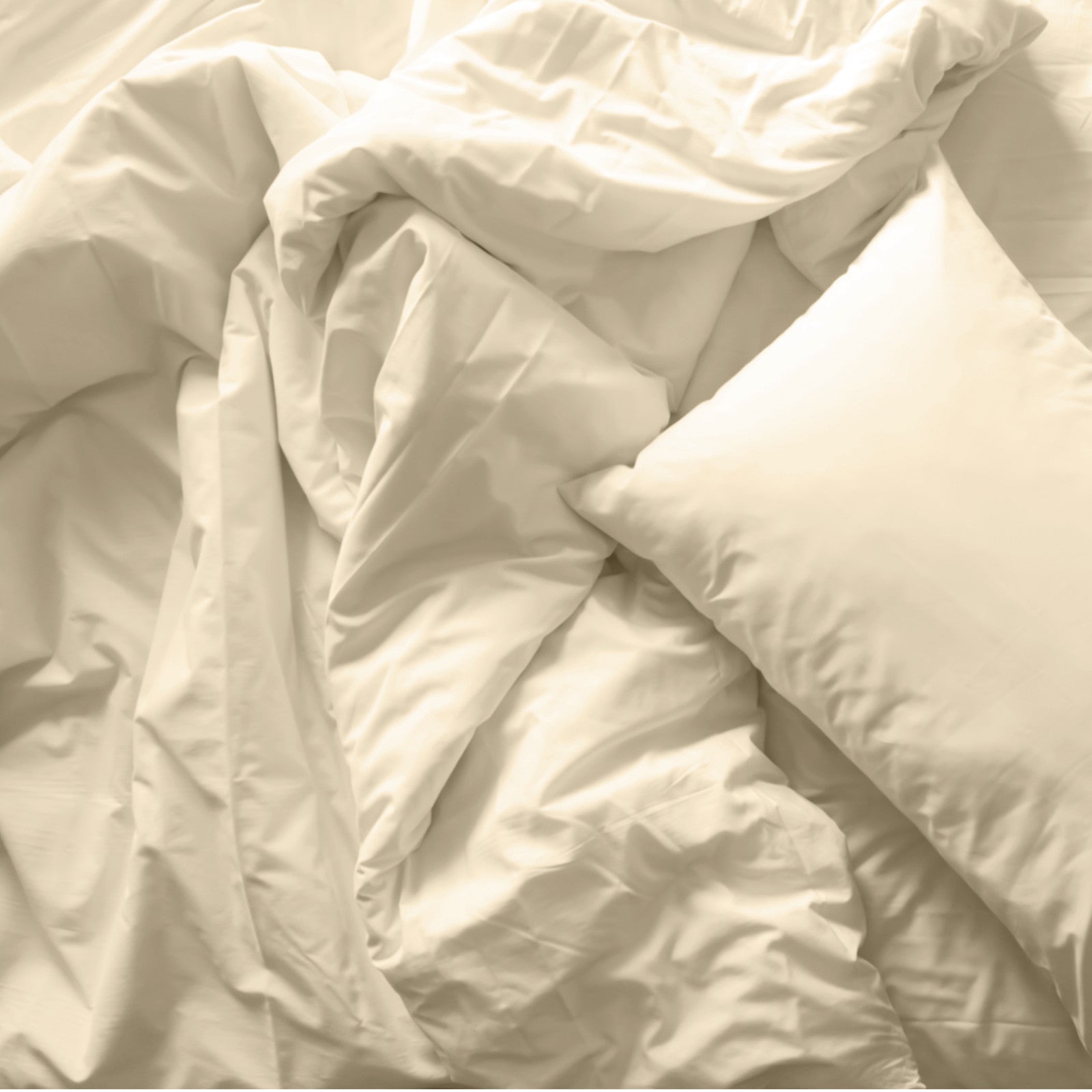 Royal Comfort Blended Bamboo Quilt Cover Sets -Dark Ivory-Double-1927503856971943939