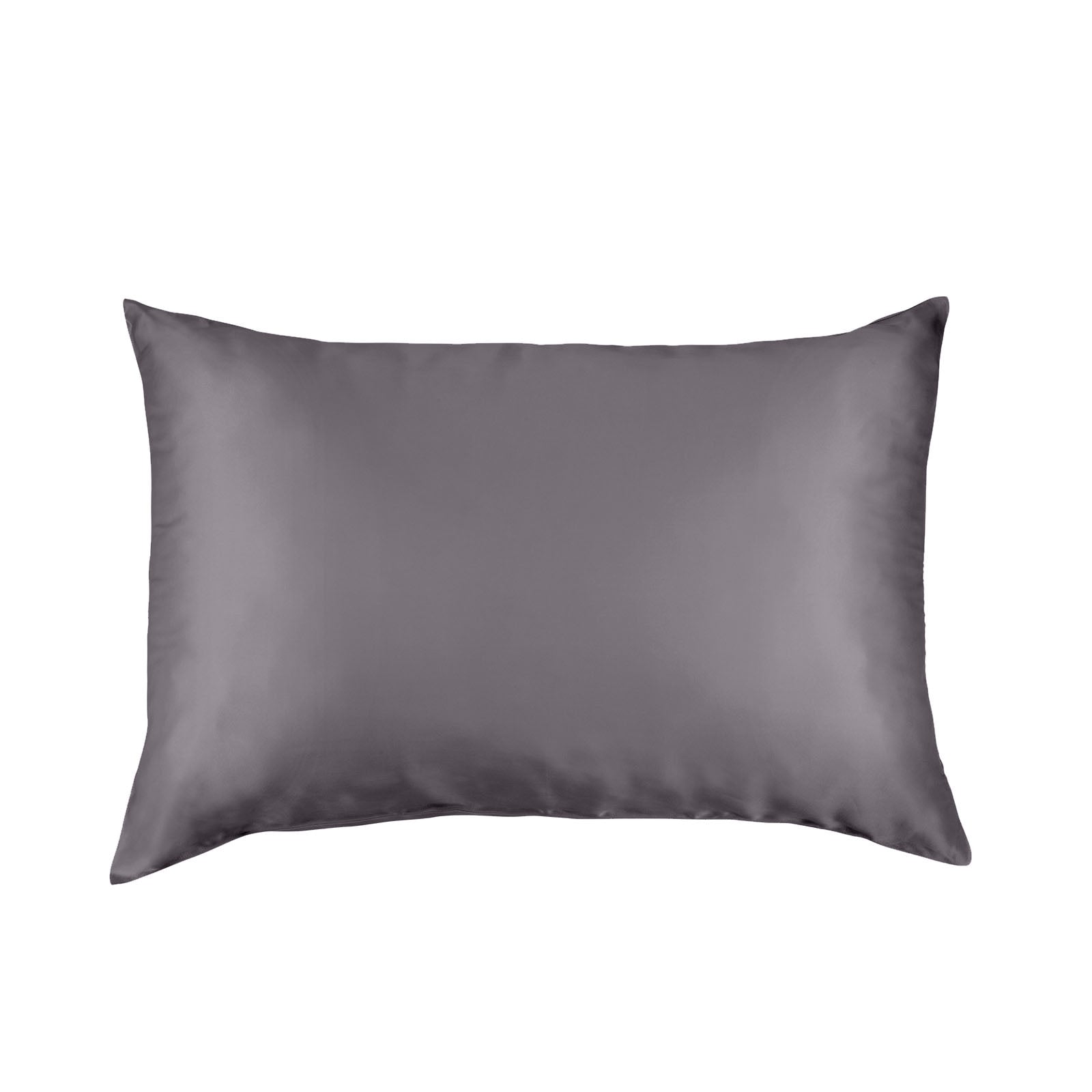 Pure Silk Pillow Case by Royal Comfort-Charcoal-1927503851905224704