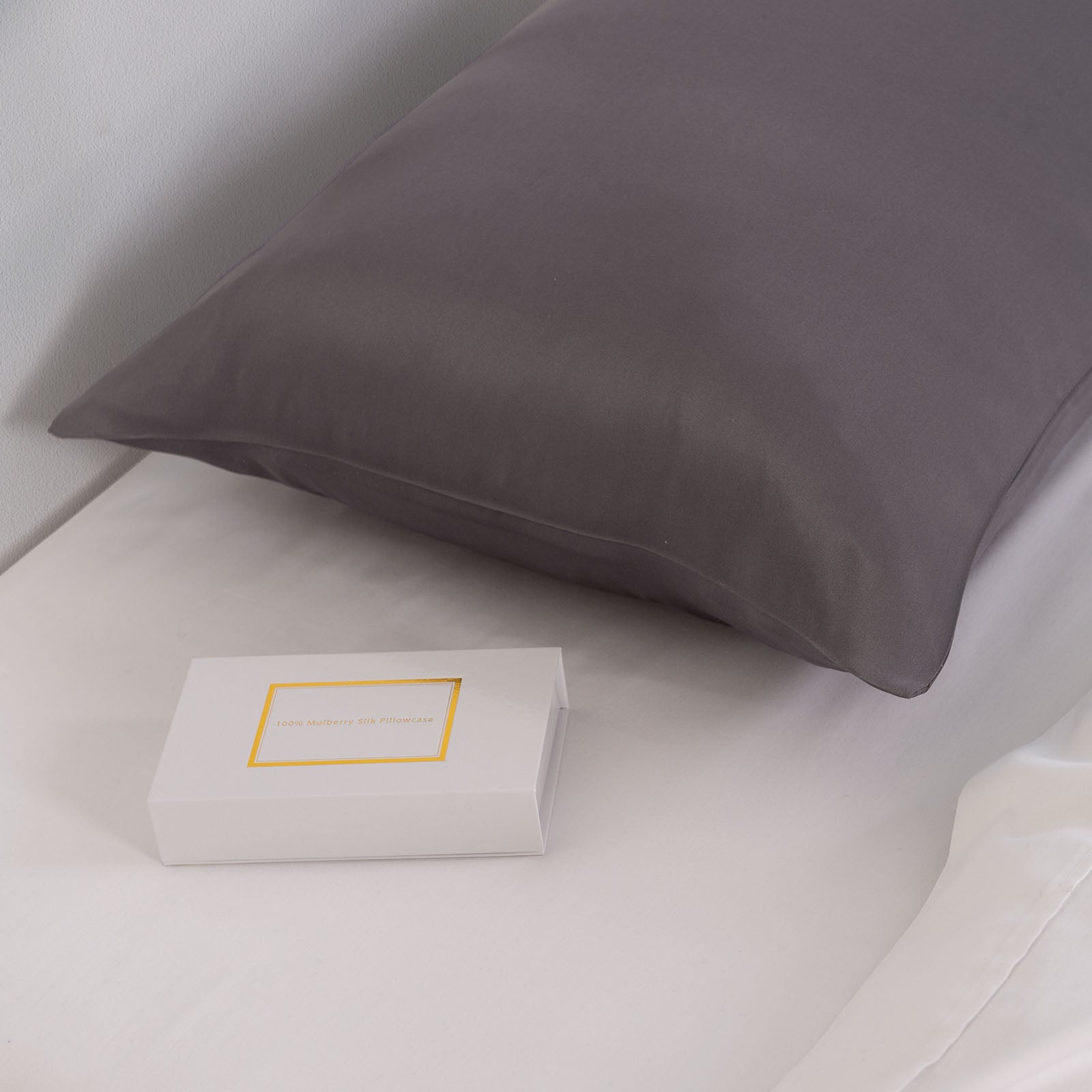 Pure Silk Pillow Case by Royal Comfort-Charcoal-1927503851905224707