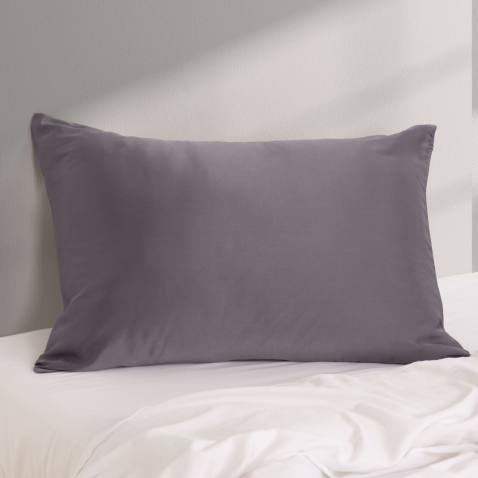 Pure Silk Pillow Case by Royal Comfort-Charcoal-1927503851905224708