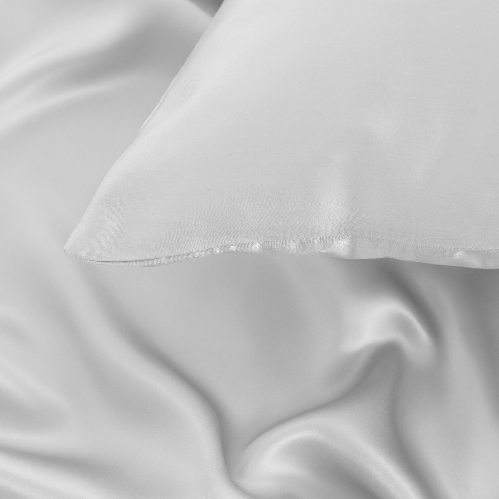 Pure Silk Pillow Case by Royal Comfort-Silver-1927503852072996871
