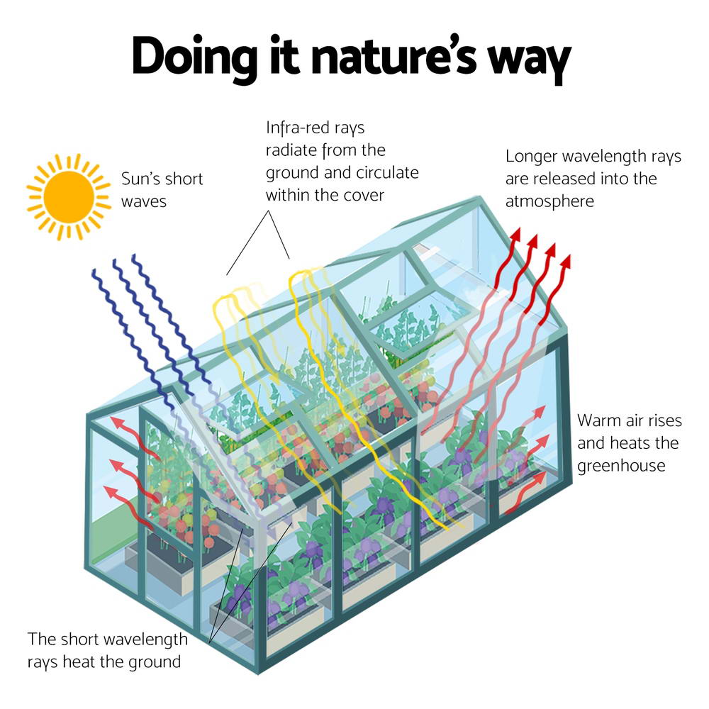 Green Fingers Greenhouse 6.3x2.44x2.1M Aluminium Polycarbonate Green House