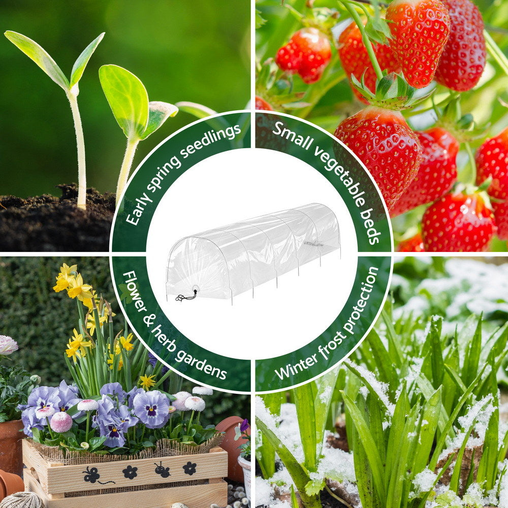 Green Fingers Mini Greenhouse 300x45x30cm Tunnel Clear PVC Free Delivery