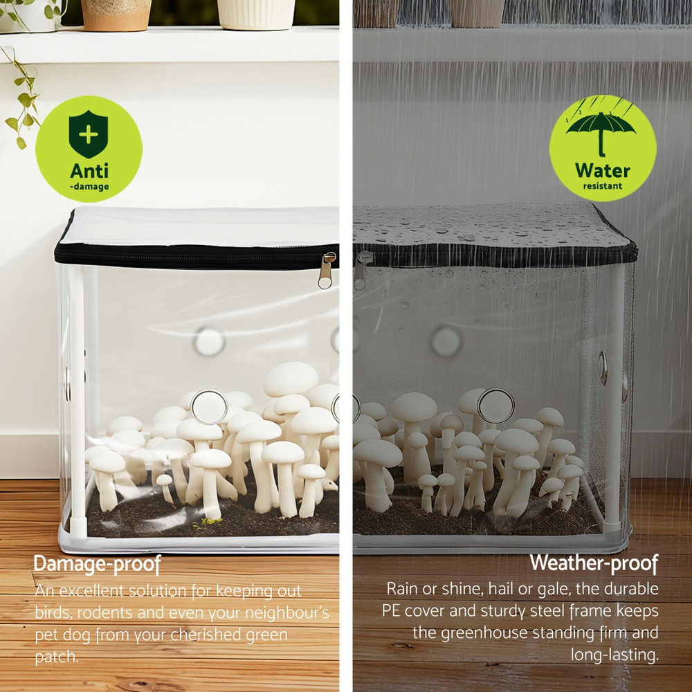 Green Fingers Mini Greenhouse 50x25x25cm PVC Cover Mushrooms Free Delivery