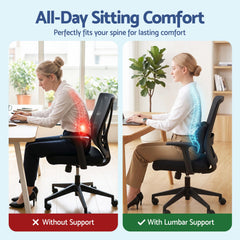 Artiss Lumbar Support Pillow for Office Chair and Car Ergonomic Memory Foam