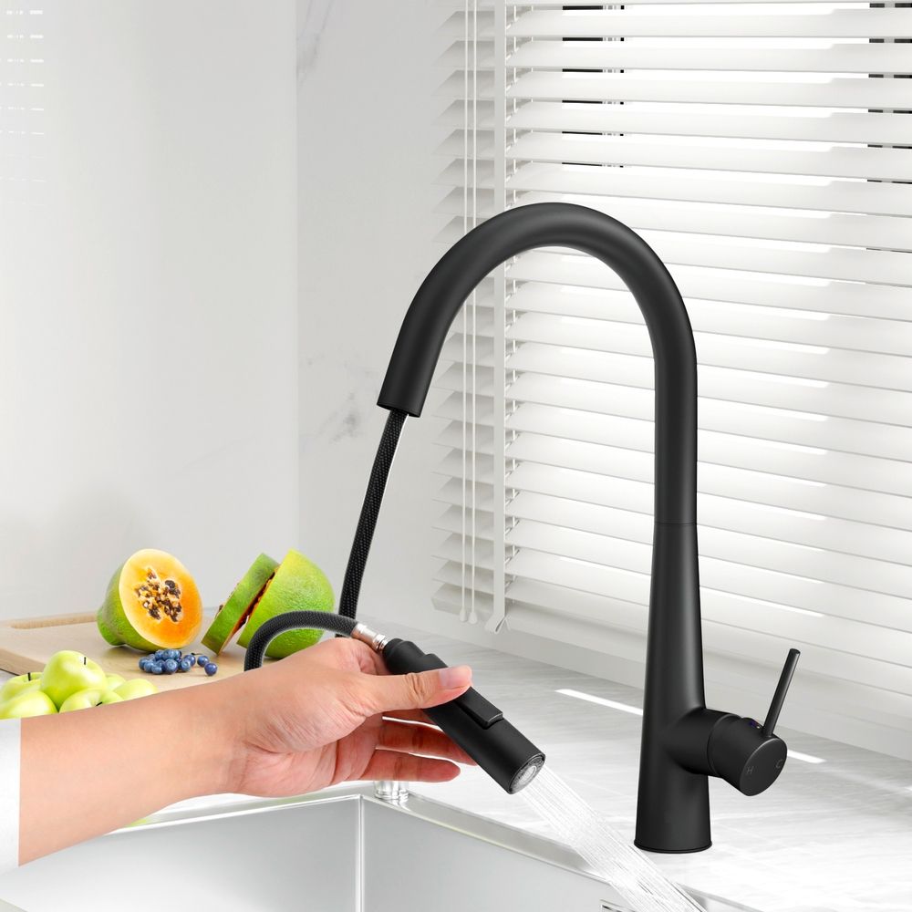 Cefito Kitchen Mixer Tap Pull Out Round 2 Mode Sink Basin Faucet Swivel WELS