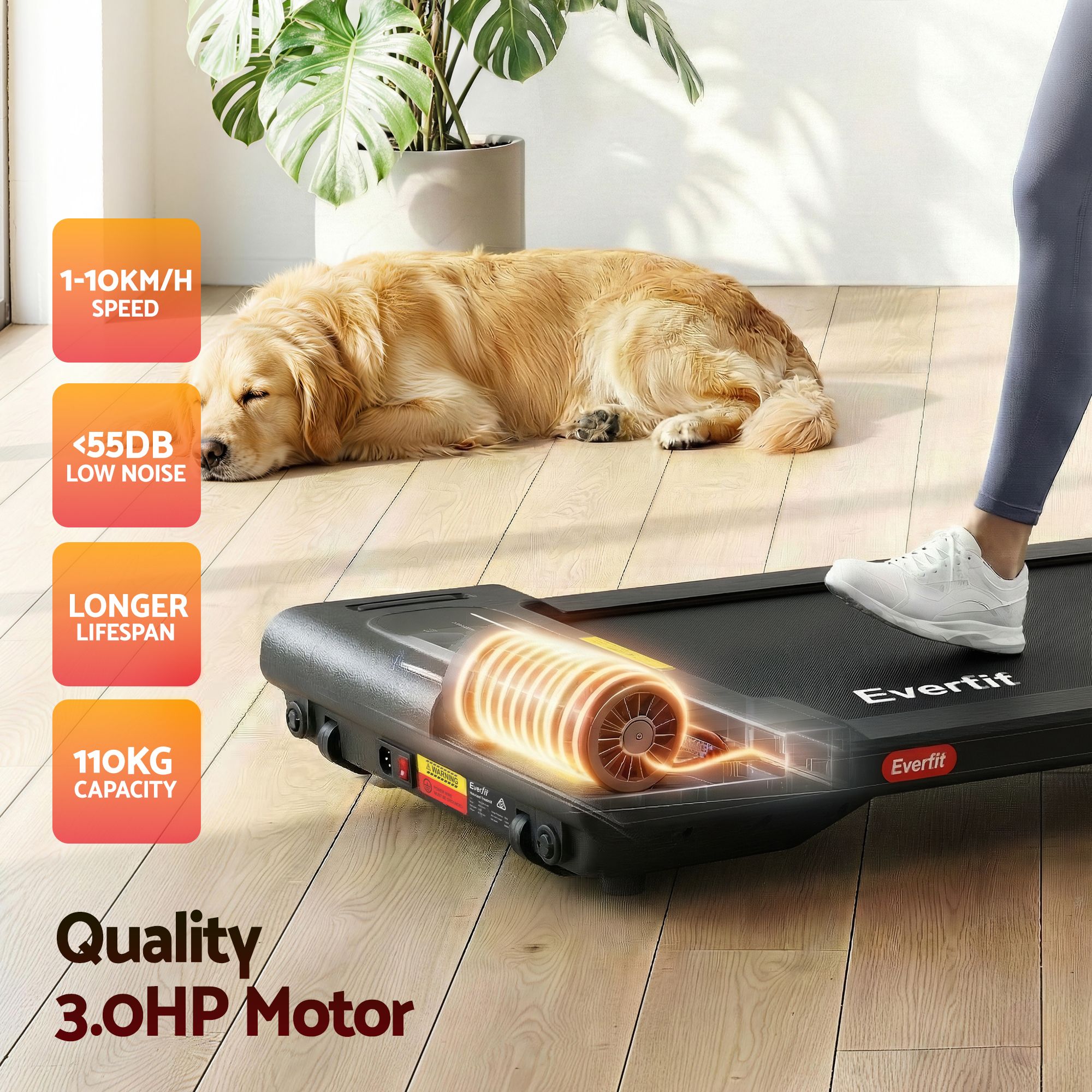 Everfit Walking Pad Treadmill 2 in 1 Foldable Under Desk for Home Gym With 38cm