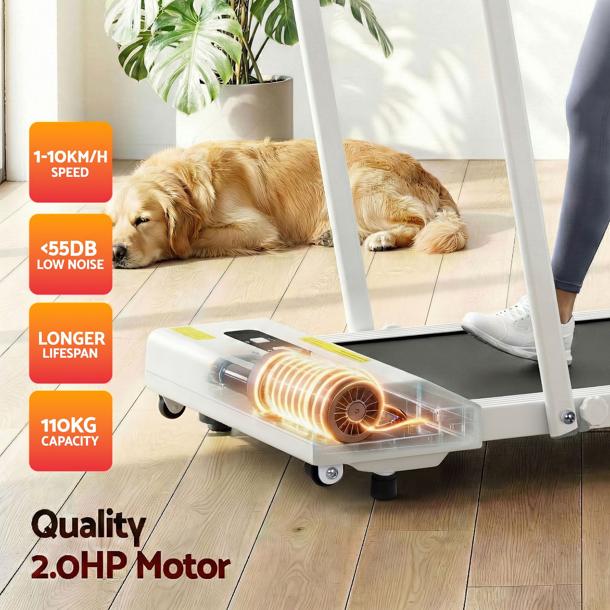 Everfit 2 in 1 Treadmill Electric Walking Pad Under Desk Home Gym Fitness 380mm