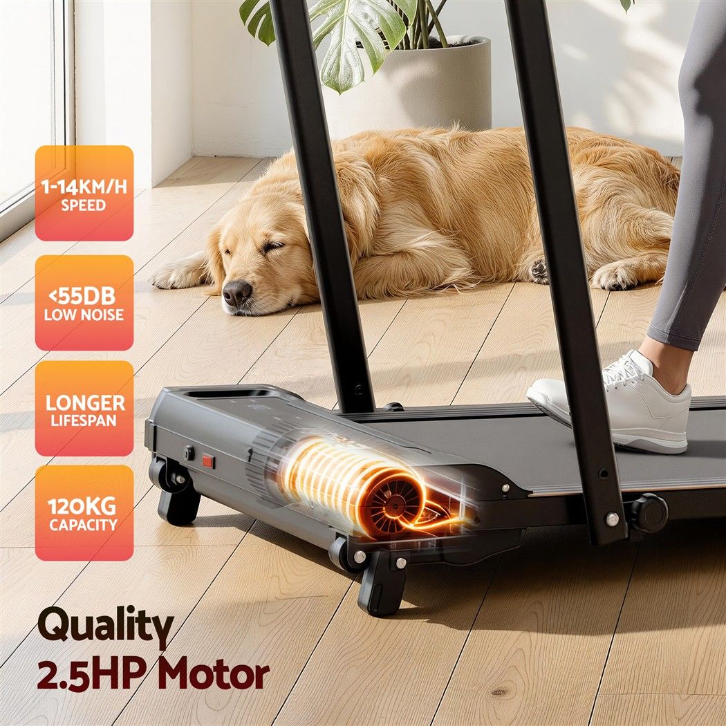 Everfit 3 in 1 Walking Pad Treadmill 12% Incline Foldable Under Desk Treadmills