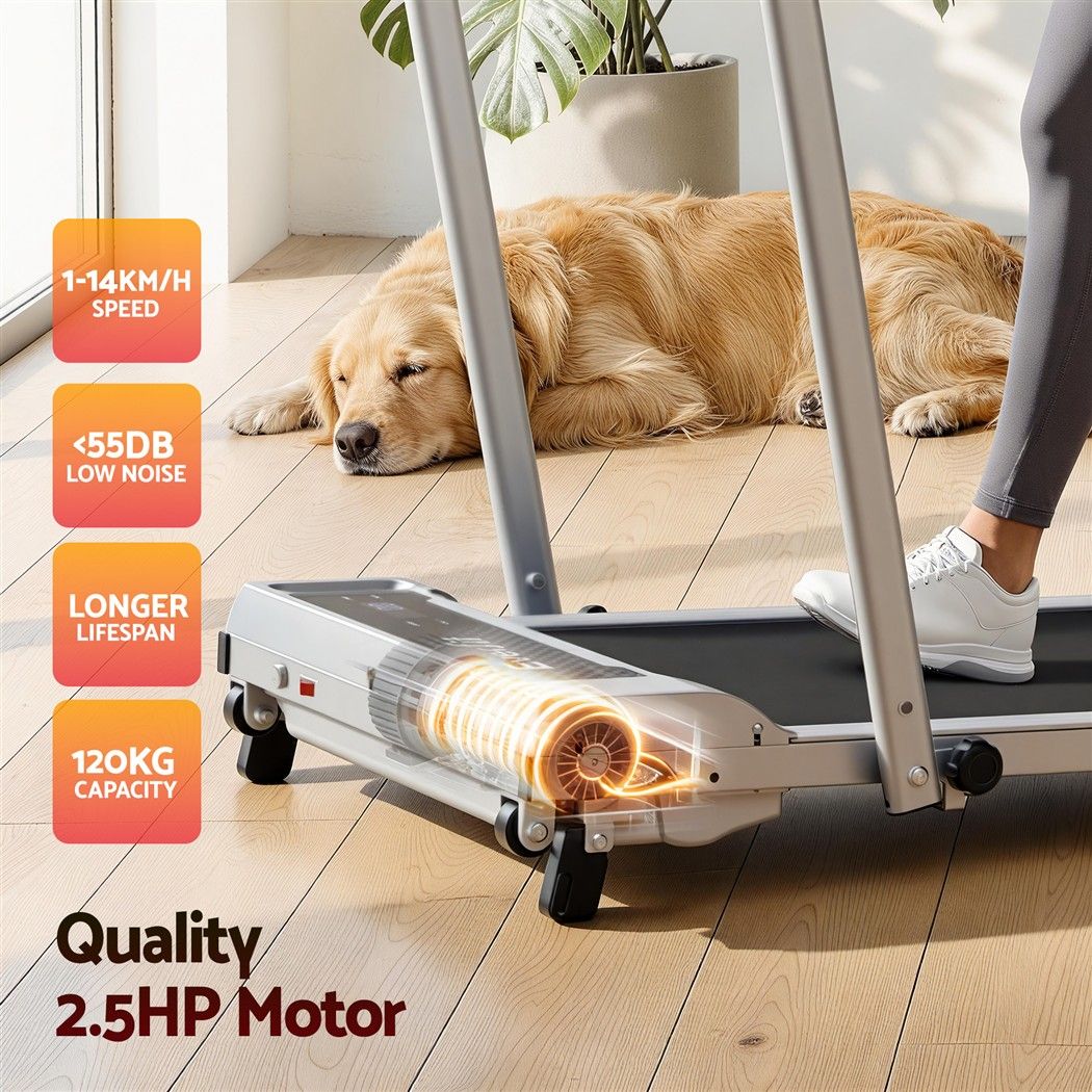 Everfit 3 in 1 Walking Pad Treadmill 12% Incline Foldable Under Desk Treadmills