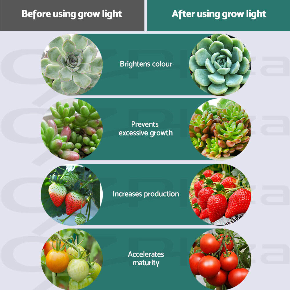 Green Fingers 600W Grow Light LED Full Spectrum Indoor Plant All Stage Growth