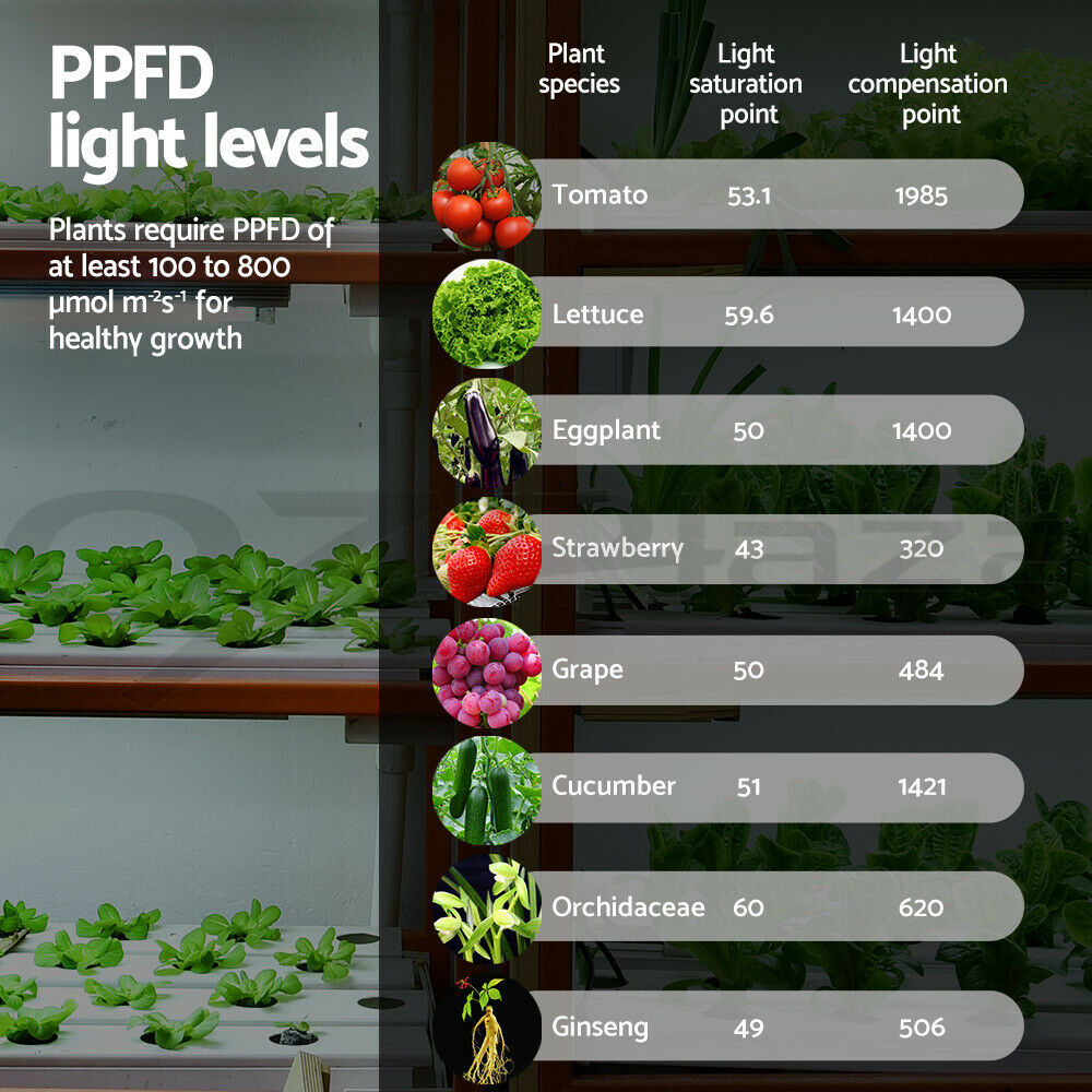 Green Fingers 1000W Grow Light LED Full Spectrum Indoor Plant All Stage Growth